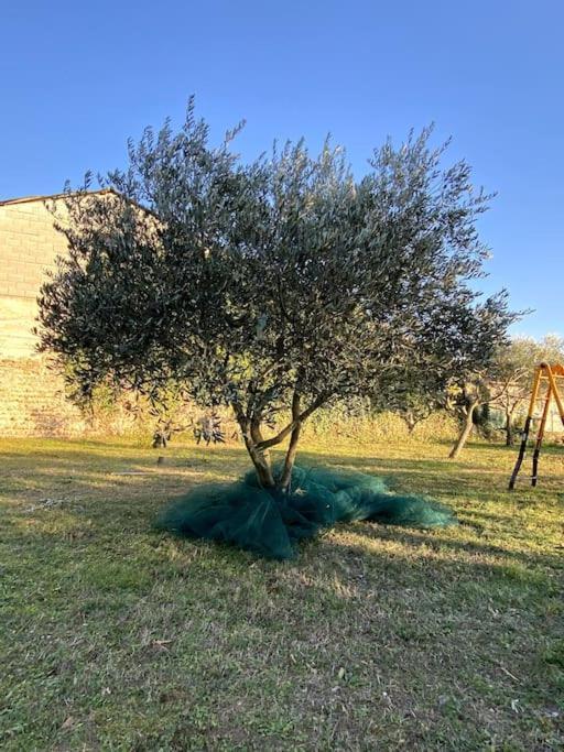 مبيت وإفطار Bouchet  Le Nomade En Provence المظهر الخارجي الصورة