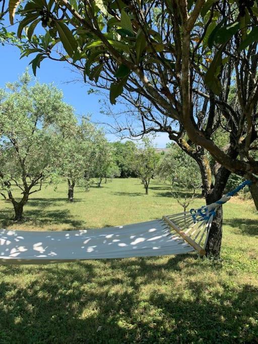 مبيت وإفطار Bouchet  Le Nomade En Provence المظهر الخارجي الصورة